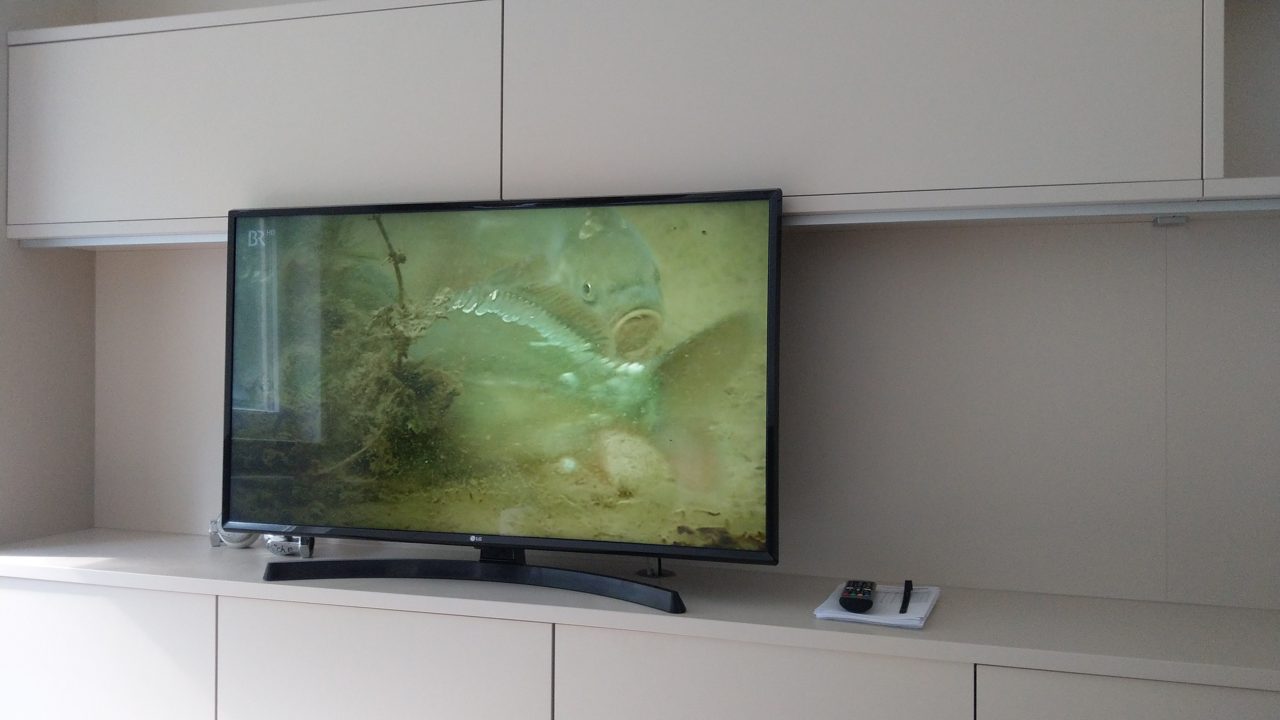 LG-TV im Wohnzimmerschrank